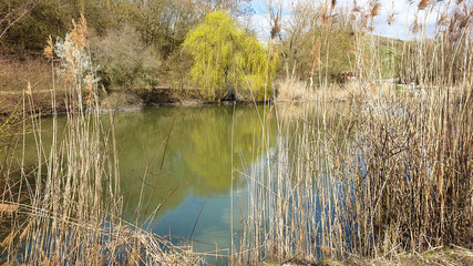 Reflection of trees in water.Autumn landscape with lake and trees