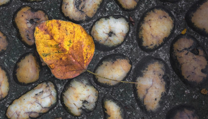 Background stone in the garden 