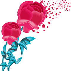 beautiful flowers with leafs nature