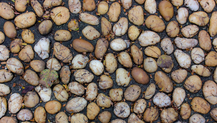 Background stone in the garden 