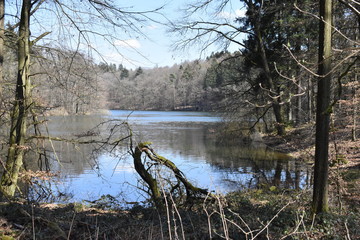 Blick auf die Neyetalsperre