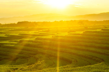 Naklejka na ściany i meble amazing sunset at paddy fields in asia natural beauty of bengkulu utara indonesia with mountain barisan and green nature