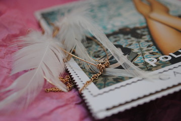 earrings with featers