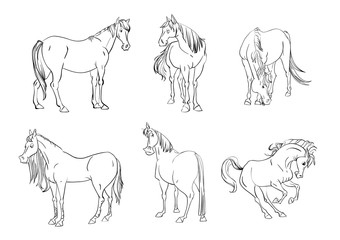 Cartoon style horse characters collection.