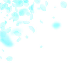 Turquoise flower petals falling down. Nice romanti