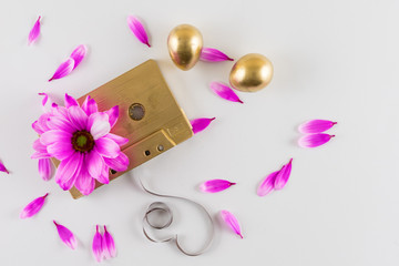 Pink chamomile and audio cassette on white background.