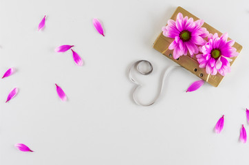 Pink chamomile and audio cassette on white background.