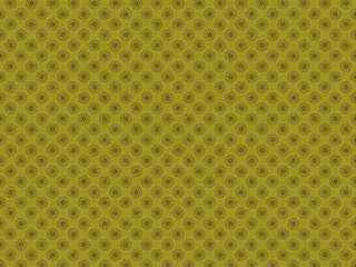 和柄背景　菊の花