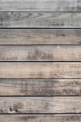 Wood texture background, natural tree