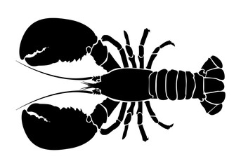 Lobster Silhouette Icon on White Background. Vector - Vector