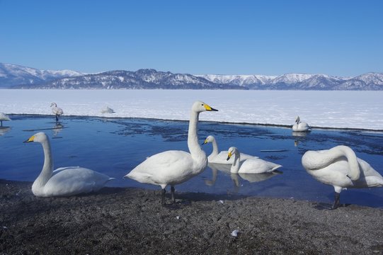 Lake Kussharo, Akan-Mashu national park in Hokkaido, Japan　阿寒摩周国立公園　北海道