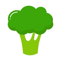 Broccoli icon. Flat illustration of broccoli vector icon isolated on white background