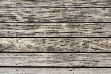 Wood texture background, natural tree
