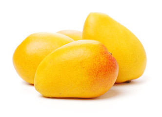 Mango on white background