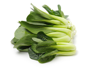 Pok Choi on white background