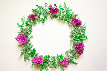 A wreath of violets on a white background. Round frame of purple flowers and fresh grass. Summer flowers.  Flat lay, top view.