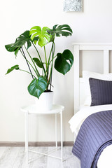 The interior of the bedroom with a monster