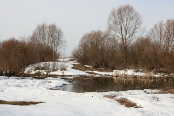 Fototapeta na wymiar Trees and shrubs in spring in the flood plains of the Oka River