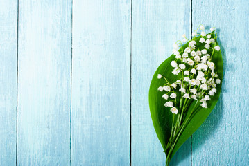 lily of the valley flowers bunch on blue painted wood table background
