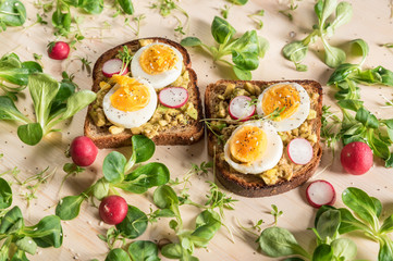 Avocado sandwiches with eggs and herbs