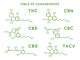 Cannabinoid structure. Cannabidiol molecular structures, THC and CBD formula. Marijuana or cannabis molecules vector illustration