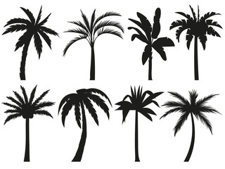 Palm trees silhouettes. Tropical leaves, retro palms tree and vintage silhouettes vector illustration set © Tartila