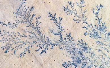 ancient blue pattern plants in stone wall
