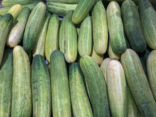 Group of fresh cucumber