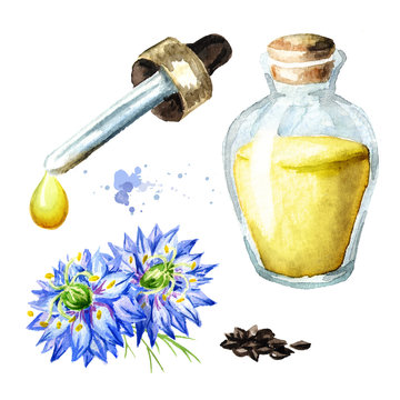 Nigella sativa, nutmeg flower, Roman coriander, black cumin, black sesame, blackseed, black caraway,  Bunium persicum oil set. Watercolor hand drawn illustration, isolated on white background