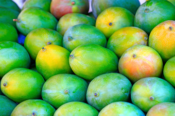 Many green mangoes