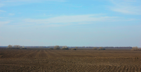 Fototapeta premium Ploughed field in spring prepared for sowing. Blue sky and forest