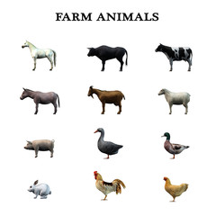  farm animals in a overview - isolated on white background