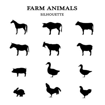 farm animals in a overview - black silhouette - isolated on white background