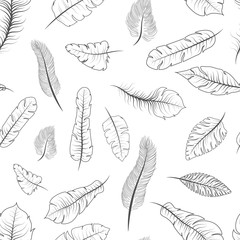 Different black and white exotic feathers, seamless pattern on white