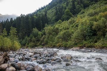 Closeup view river scene in forest, national park of Dombay, Caucasus, Russia