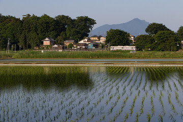 関東鉄道と筑波山