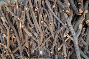 Background of twigs