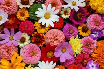 Schilderijen op glas florale achtergrond, bovenaanzicht. tuin bloemen. © MaskaRad
