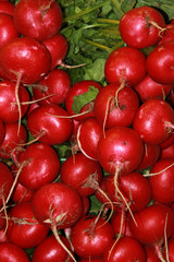 Full frame image of perfect radishes on display in a market
