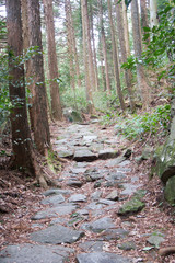 Stone pavement of Edo period, Tokaido road, Hakone eastside