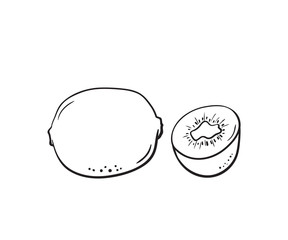 Coloring book Vector hand drawn kiwi