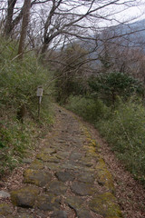 Stone pavement of Tokaido road, Hakone eastside
