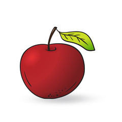 Vector hand drawn red apple