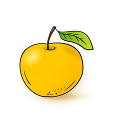 Vector hand drawn yellow apple