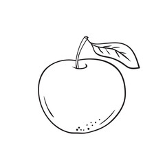 Vector hand drawn lineart apple icon