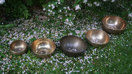 Klangschalen in rosa Blütenblättern