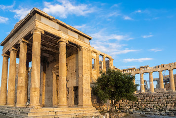 Fototapeta premium Porch of Poseidon, part of Erechtheion, sacred olive tree, walls of temple of Athena Polias on Acropolis, Athens, Greece against blue sky