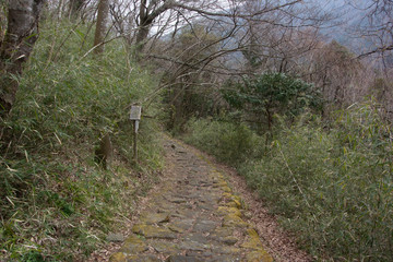 Stone pavement of Tokaido road, Hakone eastside