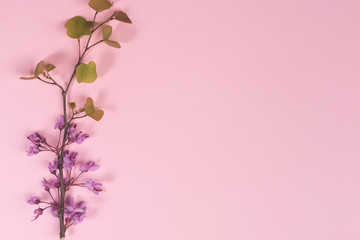 Flowers composition. Purple flowers and leaves on pastel pink background. Flat lay, top view, copy space