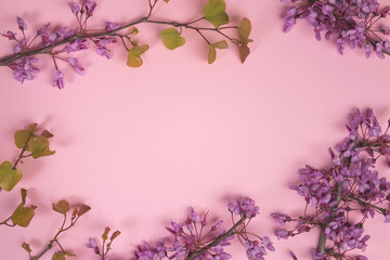 Flowers composition. Purple flowers and leaves on pastel pink background. Flat lay, top view, copy space